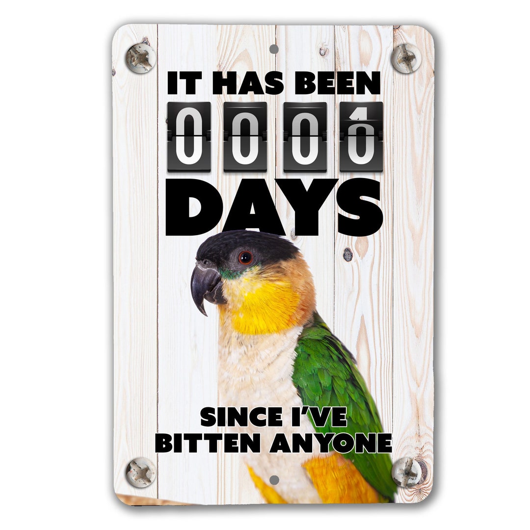 Caique Parrot Bite Sign Black Capped Caique Sign Caique Etsy