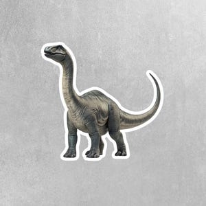 Brontosaurus Sticker | Dinosaur Water Bottle Sticker | Brontosaurus Decal