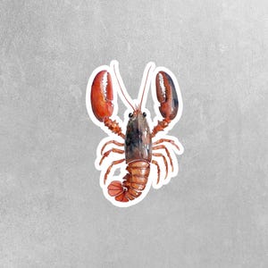 Lobster Sticker | Watercolor Lobster Sticker | Cute Lobster Decal