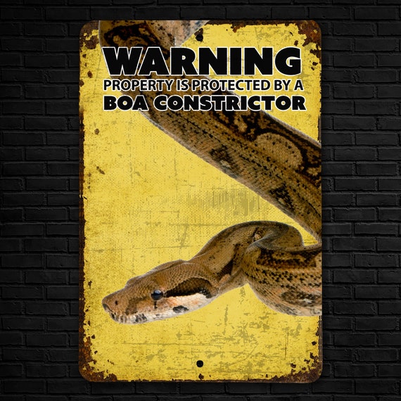 boa constrictor starter kit