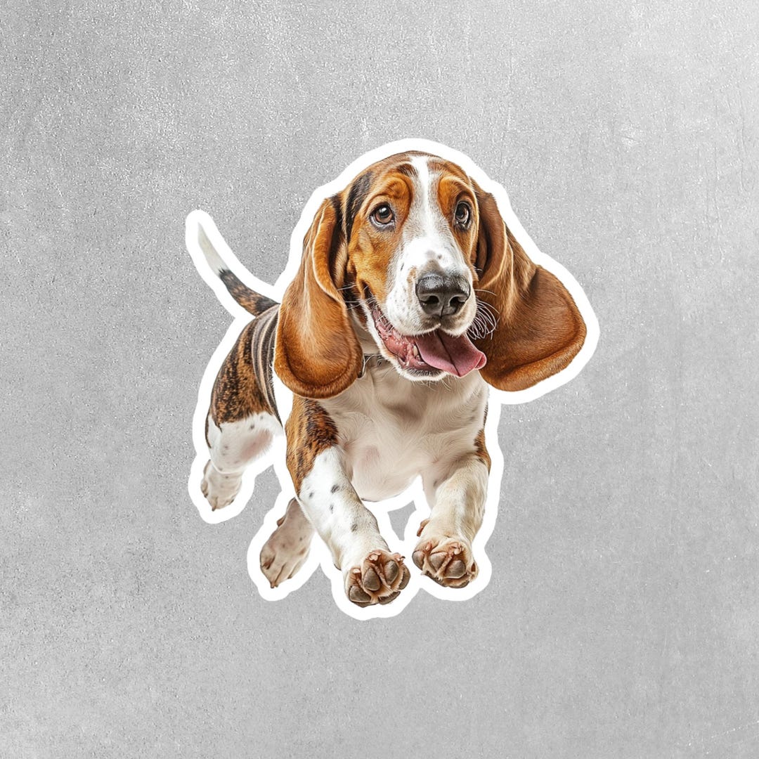Adesivo Auto INDIGOS Basset Hound | Sticker JDM In Vinile Nero 139x101 Mm | Resistente UV E Autolavaggio | Per Auto, Laptop, Finestre