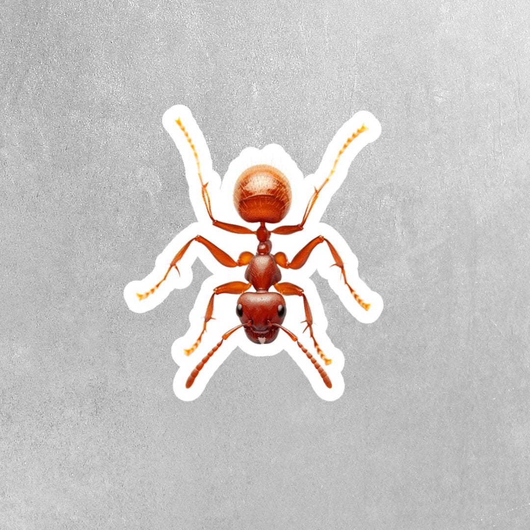 Ant Sticker | Red Ant Sticker | Fire Ant Sticker - Etsy