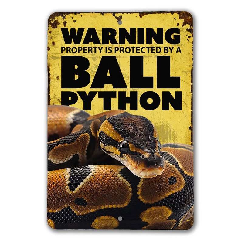 May include: A yellow warning sign with black text that reads "WARNING PROPERTY IS PROTECTED BY A BALL PYTHON". A ball python is pictured on the sign, coiled up with its head facing the viewer.