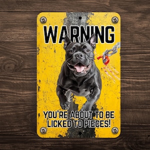 Warnschild 'Beware Of Dog' – Vintage Stil, Metall, 30x20 Cm, Für Zaun, Garten, Tür, Dekorativ & Praktisch