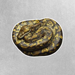 May include: A coiled snake sticker with a detailed pattern of brown, black, and yellow scales. The snake's head is visible, with its eyes and scales clearly defined. The sticker has a white border and is set against a gray background.