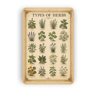 Puede incluir: Un póster rectangular titulado TYPES OF HERBS que presenta veinte ilustraciones botánicas numeradas de diversas plantas, incluyendo albahaca, romero, tomillo, menta, lavanda, perejil, cilantro, eneldo, salvia, orégano, cebollino, estragón, toronjil, laurel, hinojo, mejorana, capuchina, albahaca sagrada, stevia y manzanilla.