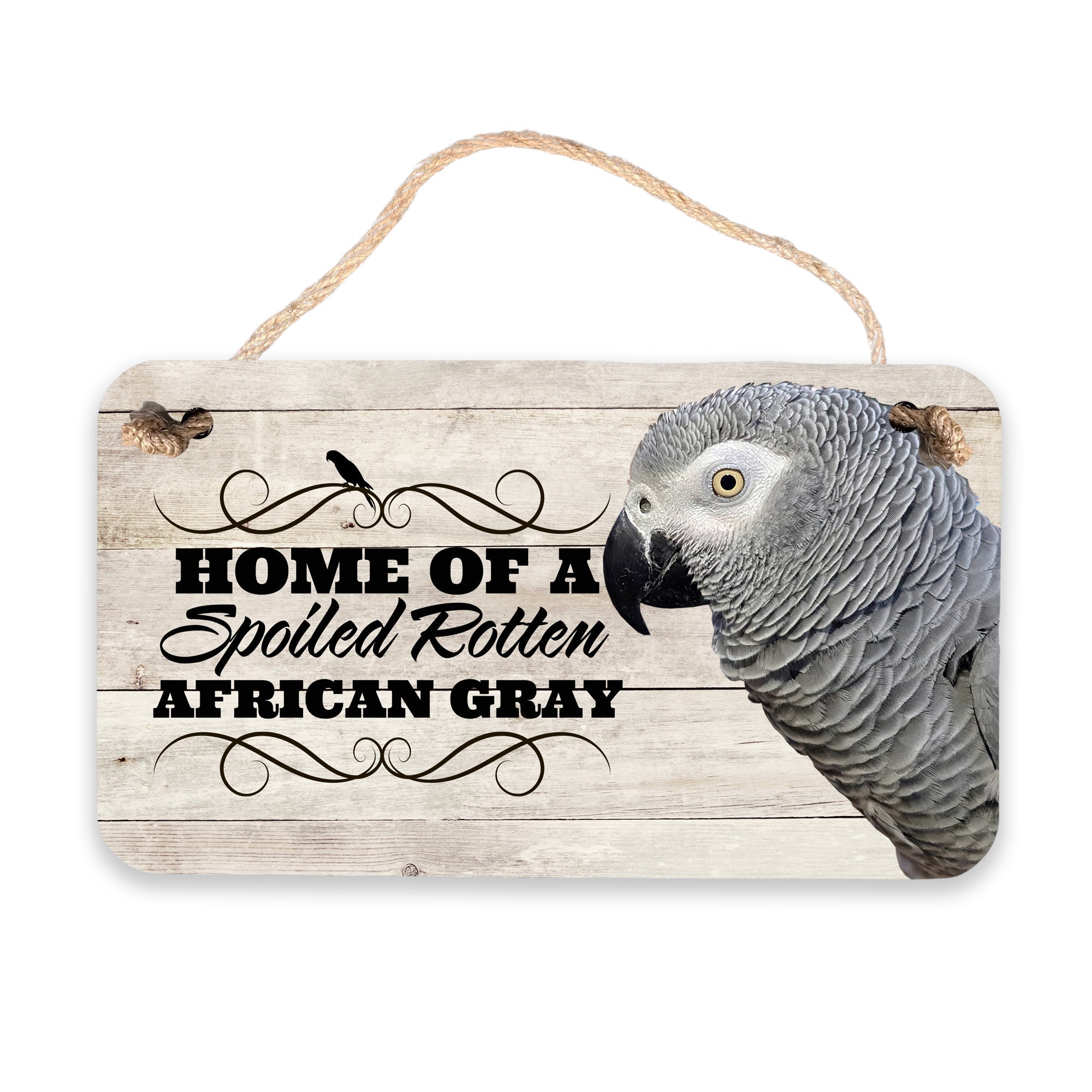Maison d'un panneau gris africain pourri gâté | Signe perroquet gris d'Afrique