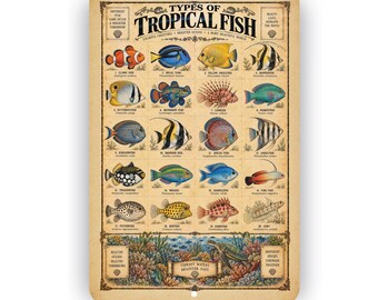 Types of Tropical Fish Aluminum Sign – Vintage Ocean & Reef Wall Decor