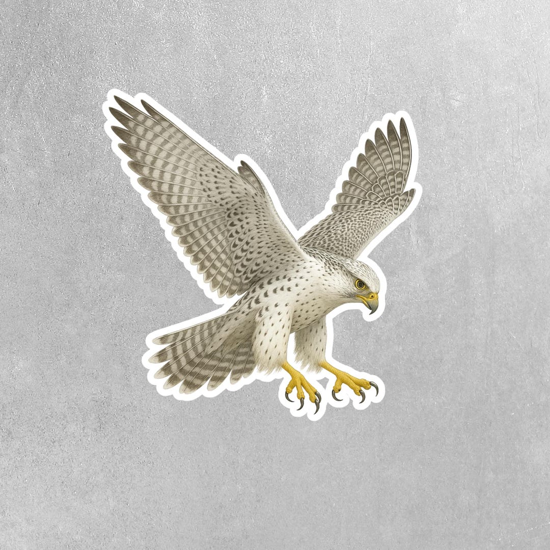 Gyr Sticker Gyrfalcon Sticker | Gyrfalcon Decal | Gyrfalcon Souvenir - Etsy