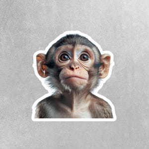 Monkey Sticker - Cute Animal Vinyl Decal, Monkey Wall Art, Fun Jungle Decor, Car Stickers & Party Favors