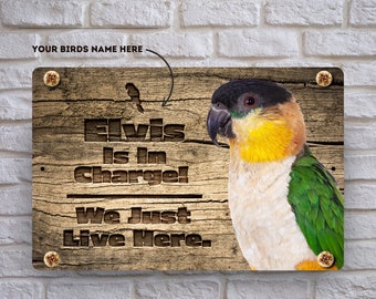 Personalized Black Cap Caique Sign | Rustic Parrot Sign | Add Your Black Cap Caique Name