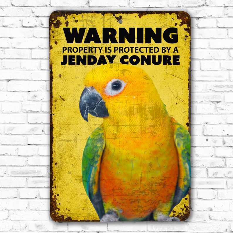 Warning Jenday Conure Sign Parrot Warning Sign Jenday Conure Parrot Sign image 3