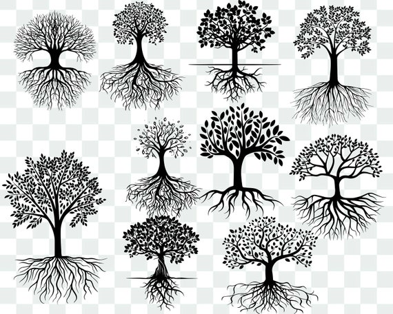 Download Tree With Roots SVG Bundle Tree With Roots svg Roots svg ...