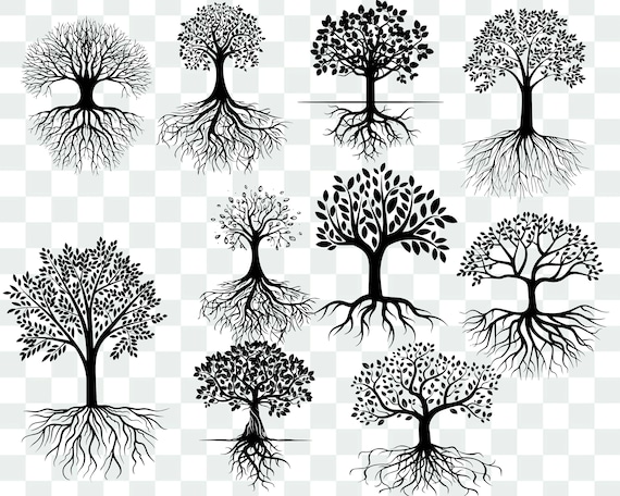 Download Tree With Roots Svg Bundle