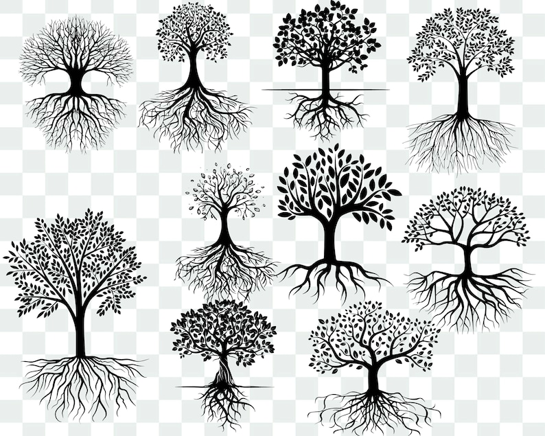 Tree With Roots SVG Bundle Tree With Roots svg Roots svg | Etsy