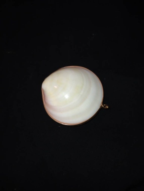 Vintage brass clam shell - Gem
