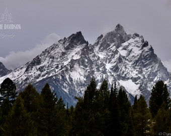 May include: A snow-capped mountain range with a dark forest in the foreground. The mountain peaks are jagged and sharp, and the snow is white and fluffy. The forest is dense and dark, and the trees are tall and slender.