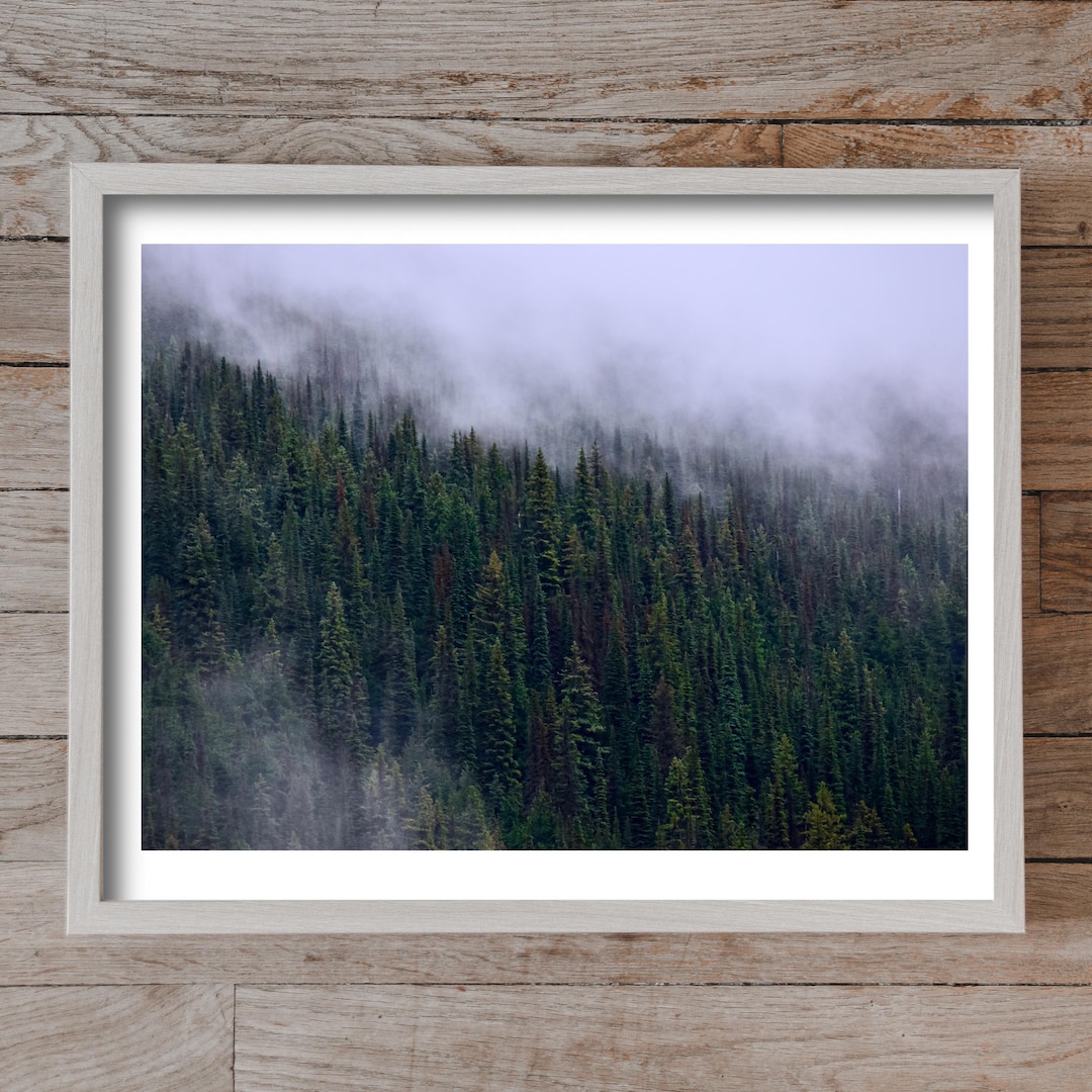 Misty Pine Trees Canvas Wall Art Print, Foggy Mountain Decor, Canadian ...