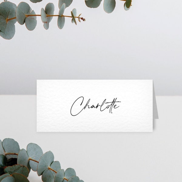 Place Cards, Simple Wedding, Wedding Table Name Cards, Minimalist Placecards, Charlotte