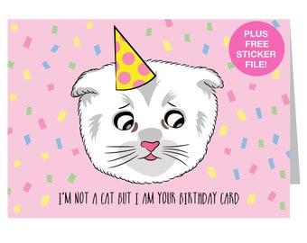 Lawyer Cat Meme Video : The Joy Of Lawyer Cat Is That It Teaches Us Nothing It S Just Very Funny Imogen West Knights The Guardian : What's the cat filter called?