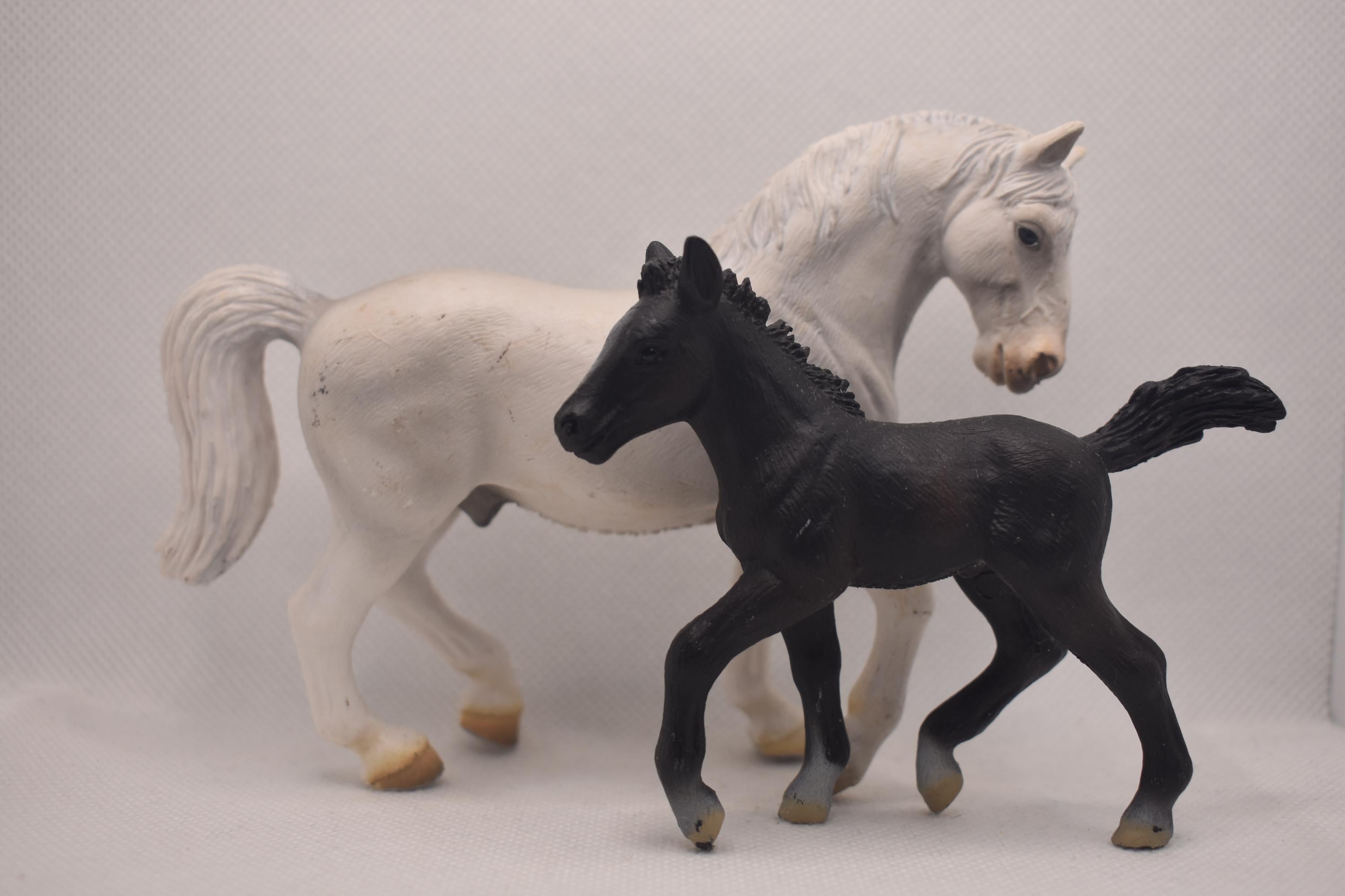 PIATNIK製 トランプ リピッツァナー(軽種馬) Lipizzaner I PIATNIK製 トランプ リピッツァナー(軽種馬) Lipizzaner I Lipizzaner