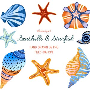May include: A collection of hand-drawn seashells and starfish illustrations in various colors. The image includes a variety of sea creatures, including a blue and white striped seashell, orange starfish, and a blue and orange seashell. The text "Seashells & Starfish" is also present.