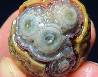 May include: A close-up of a unique, multi-layered rock formation. The rock features concentric circles in shades of white, blue, and brown, with a yellow and orange outer layer. The overall shape is rounded and organic, with a smooth, polished appearance.