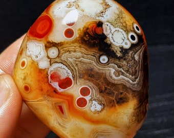 May include: A smooth, polished agate stone with a unique pattern of red, white, and brown swirls and spots. The stone has a natural, organic shape.