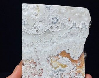 May include: A white agate slab with a unique pattern of concentric circles and swirls. The agate has a light brown and gray color variation.