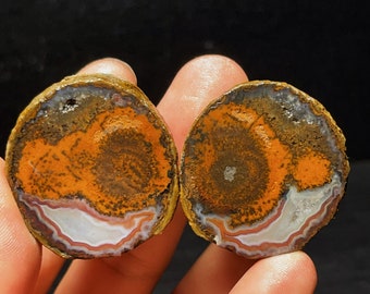 May include: Two agate slices with a brown, orange, and white banded pattern. The agate slices are polished and have a natural, organic look.
