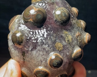 May include: A purple and brown agate geode with a cluster of eye-like formations. The geode is smooth and polished, with a natural, organic shape.