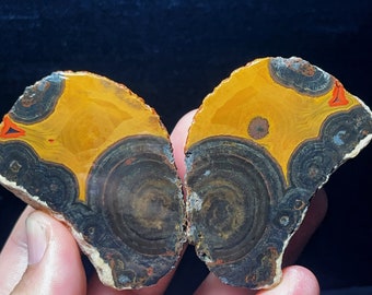 May include: Two halves of a polished agate geode with a yellow and orange center and black and brown bands. The geode is a natural stone with a unique pattern.