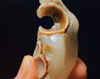 May include: A carved, off-white stone pendant with a unique shape. The pendant features a large, curved opening and smaller circular holes, with brown and tan accents. The stone is held in a hand against a black background.