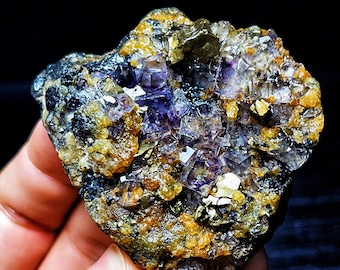 May include: A cluster of purple fluorite crystals embedded in a matrix of yellow and black minerals. The fluorite crystals are sharp and well-defined, with a glassy luster. The matrix is rough and textured, with a dark brown color.