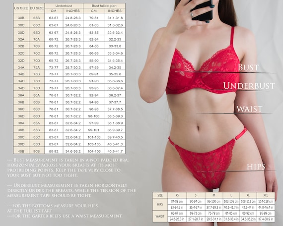 Lace and Mesh Lingerie Set, Bra With Underwire US 34C/ EU 75C, Panties S.  Handmade, Ready to Ship -  Israel