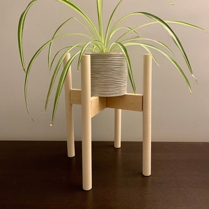May include: A spider plant with long, thin, green and white variegated leaves sits in a cylindrical white planter with a horizontal wavy texture. The planter is supported by a light-coloured wooden plant stand featuring four cylindrical legs.