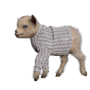 Puede incluir: Un peque&ntilde;o cabrito marr&oacute;n claro con un su&eacute;ter de punto gris. La cabra tiene ojos azules y est&aacute; de pie sobre un fondo blanco.