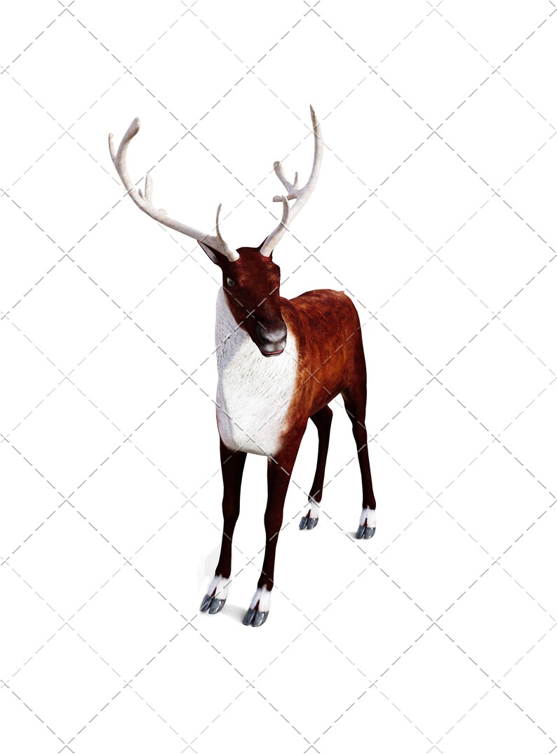 Santa’s Sleigh and Reindeer Pngs for You to Use in Your Photoshop