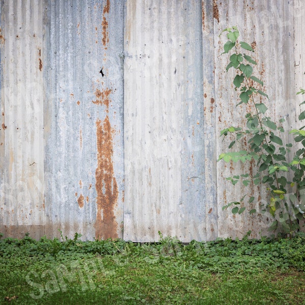 Door backdrop, barn backdrop, tin door background, rustic backdrop, Photo backdrop, Senior Photography, Farm backdrop, Digital download