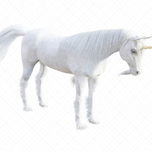 Five Unicorn Overlays for Composite Photography