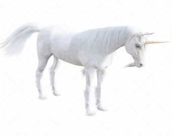 Five Unicorn Overlays for Composite Photography