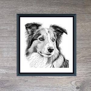 May include: A framed black and white dot art portrait of a Shetland Sheepdog. The artwork is titled "Shetland Sheepdog" and measures 184 x 190. The image also includes the text "Stitching Jules Design" in the upper portion of the image.