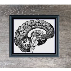 May include: Black and white cross-stitch pattern of a human brain, framed in a black frame. The title "Brain in Monochrome" is below the image, and the dimensions "220 x 180" are below the title.