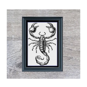 Scorpion Monochrome Blackwork Cross Stitch Pattern | Instant PDF Download