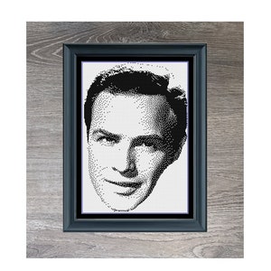 Puede incluir: Retrato en pixel art en blanco y negro de Marlon Brando, en un marco negro, con el texto "Brando" y "160 x 225" debajo del marco.