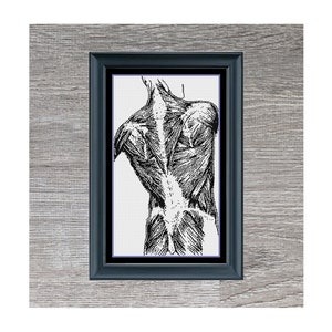 Human Back Cross Stitch Pattern | Human Anatomy Cross-Stitch Pattern | Monochorome| Instant PDF Download