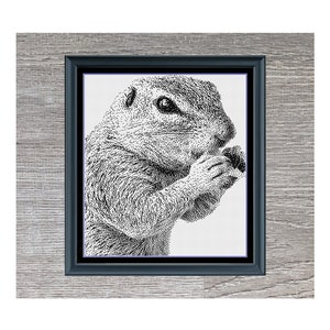 May include: Framed black and white artwork of a squirrel eating, with the title "Squirrel". The artwork measures 120 x 170. The artist's name, "Stitching Jules Design", is displayed at the top of the image.