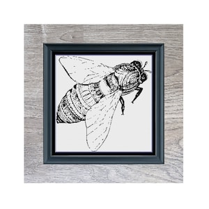 May include: Black and white line art illustration of a bee in a black frame. The image is titled "Monochrome Bee" and is credited to Stitching Jules Design.