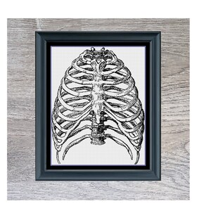 Ribs Cross Stitch Pattern | Human Anatomy Cross Stitch Pattern | Monochrome | Instant PDF Download
