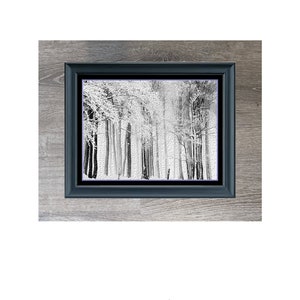 Forest Winter Trees Blizzard Landscape Monochrome Black White Counted Cross Stitch Pattern PDF Digital Download Pattern Keeper Ready